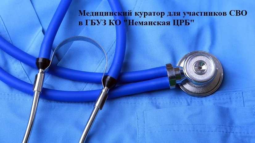 Куратор по участникам СВО и членов их семей