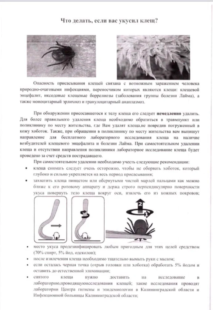 !!!ОСТОРОЖНО, КЛЕЩИ!!!