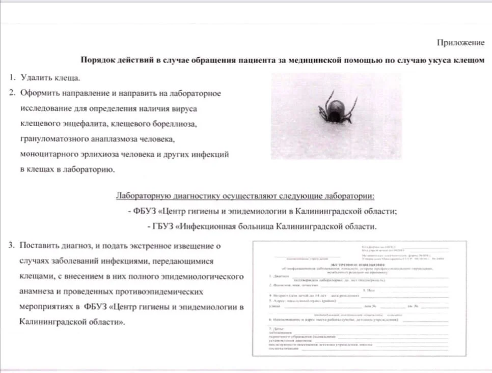 !!!ОСТОРОЖНО, КЛЕЩИ!!!