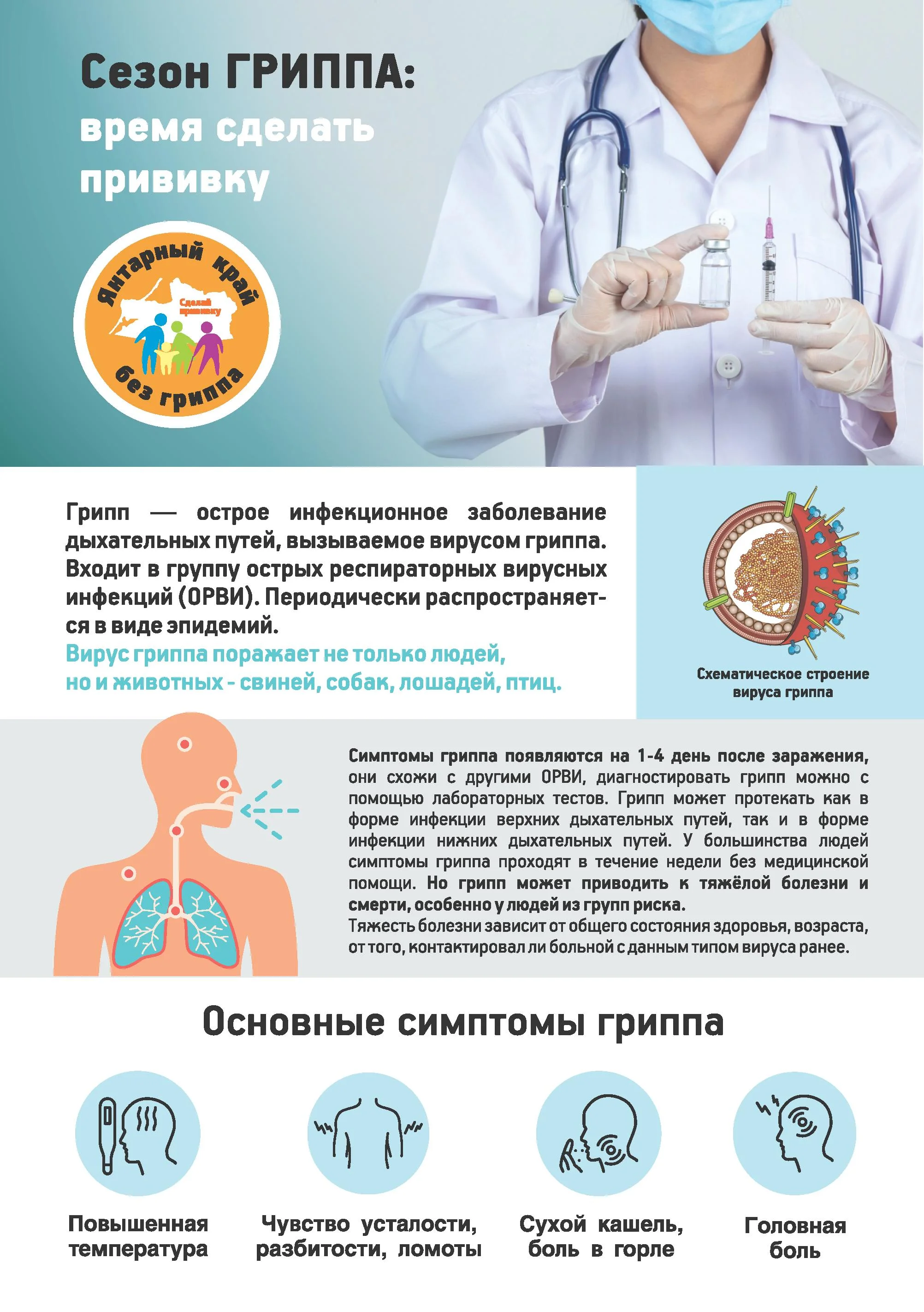 13_Флаер «Грипп и ОРВИ» - 0005.jpg